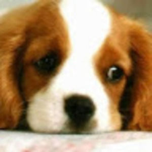 Meet your Posher, Tania